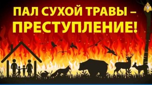 Пал сухой травы - преступление!